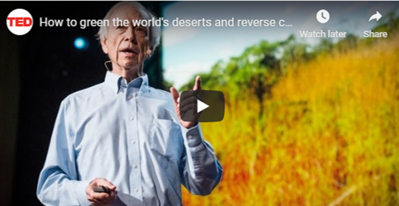 Come possiamo rigenerare la nostra terra?